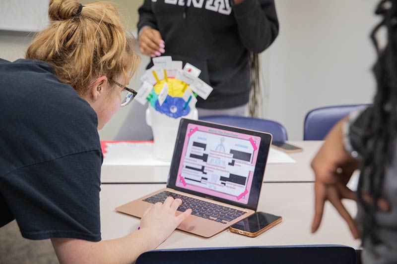 Meredith College Psychology Program